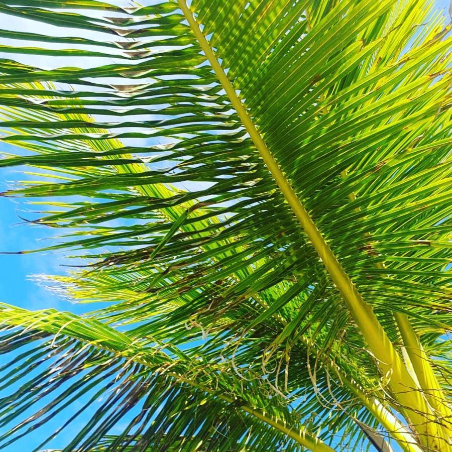 Praia De Itacimirim, Pe Na Areia Exterior foto